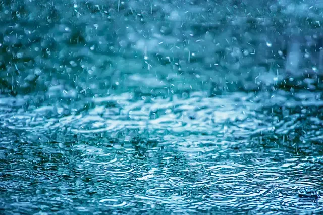 People missed the smell of rain.