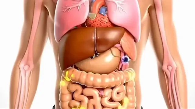 What Happens When You Quit Sugar for 7 Days, Explained